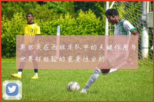奥尔莫在西班牙队中的关键作用与世界杯经验的重要性分析